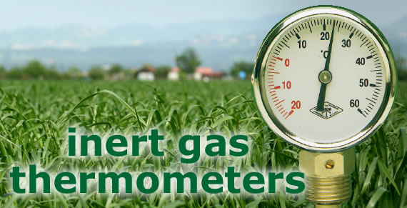 惰性氣體 惰性氣體