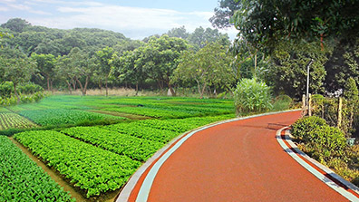 美環(huán)境，惠民生，繪就美麗圩鎮(zhèn)實景圖
